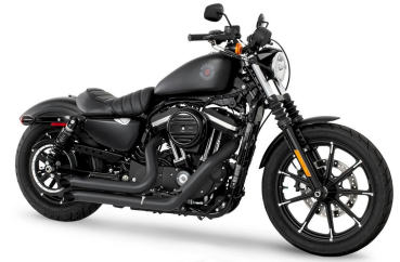 VORFÜHR AUSPUFFANLAGE "MAD MAX TOXIC" X-TORQUE FÜR XL SPORTSTER 1200 BJ 2004 -2020 MIT EG ABE